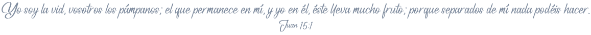 Yo soy la vid, vosotros los pámpanos; el que permanece en mí, y yo en él, éste lleva mucho fruto; porque separados de mí nada podéis hacer. Juan 15:1